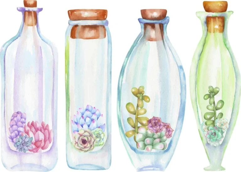 Watercolor Bottles